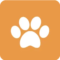 Pet Sitter